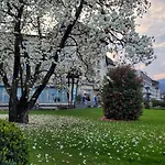 公寓 La Rosa Del