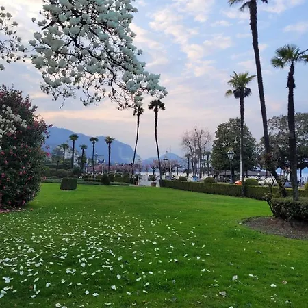 La Rosa Del Apartamento *